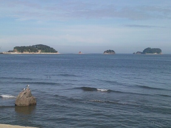 snc00013_bestceok.jpg